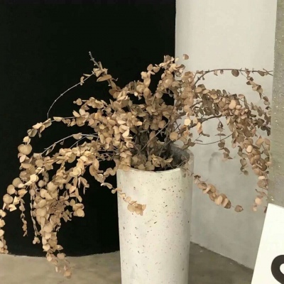 资源FurryQQ群介绍